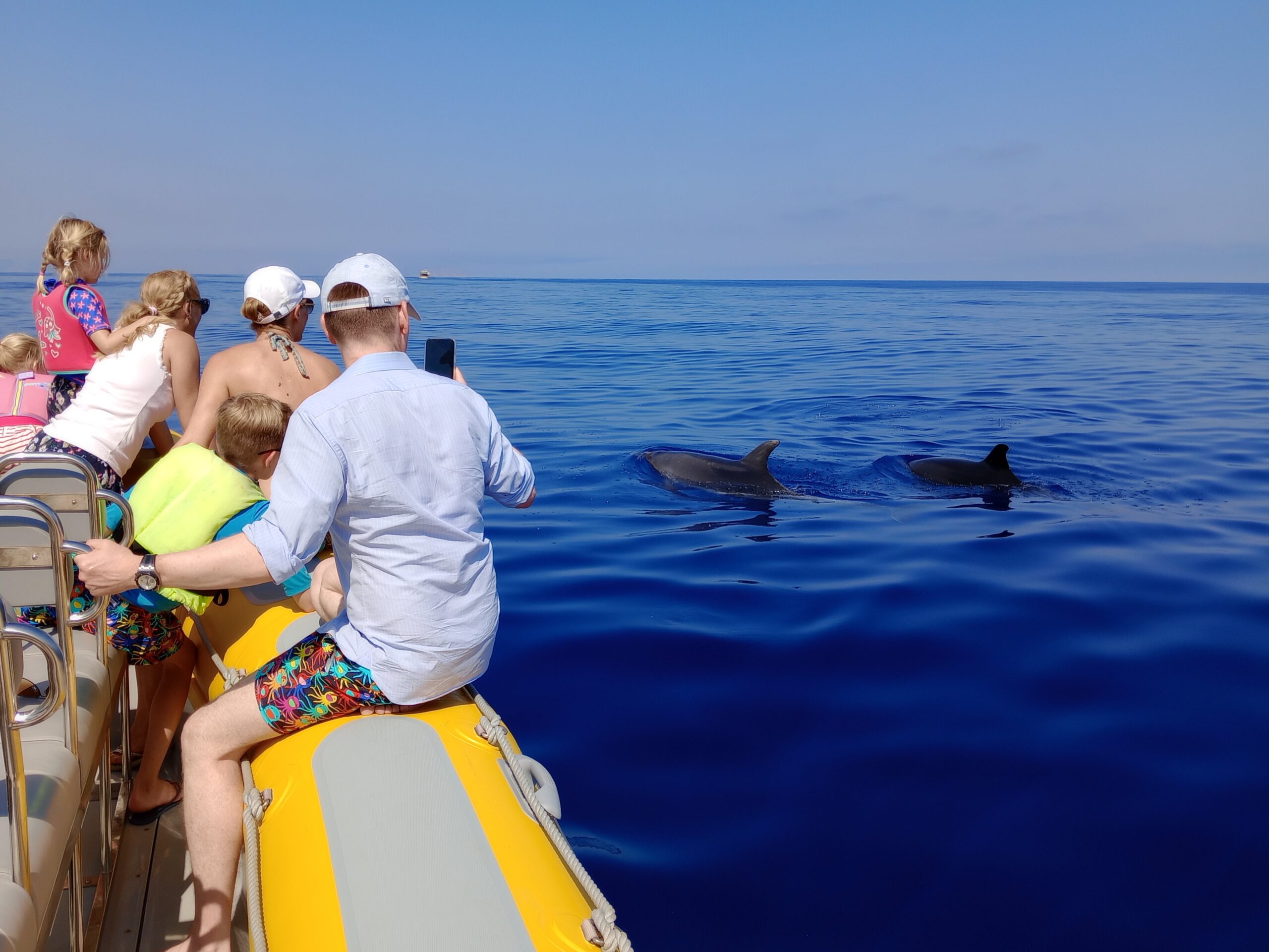Turistas observando delfines desde una lancha en el océano Atlántico