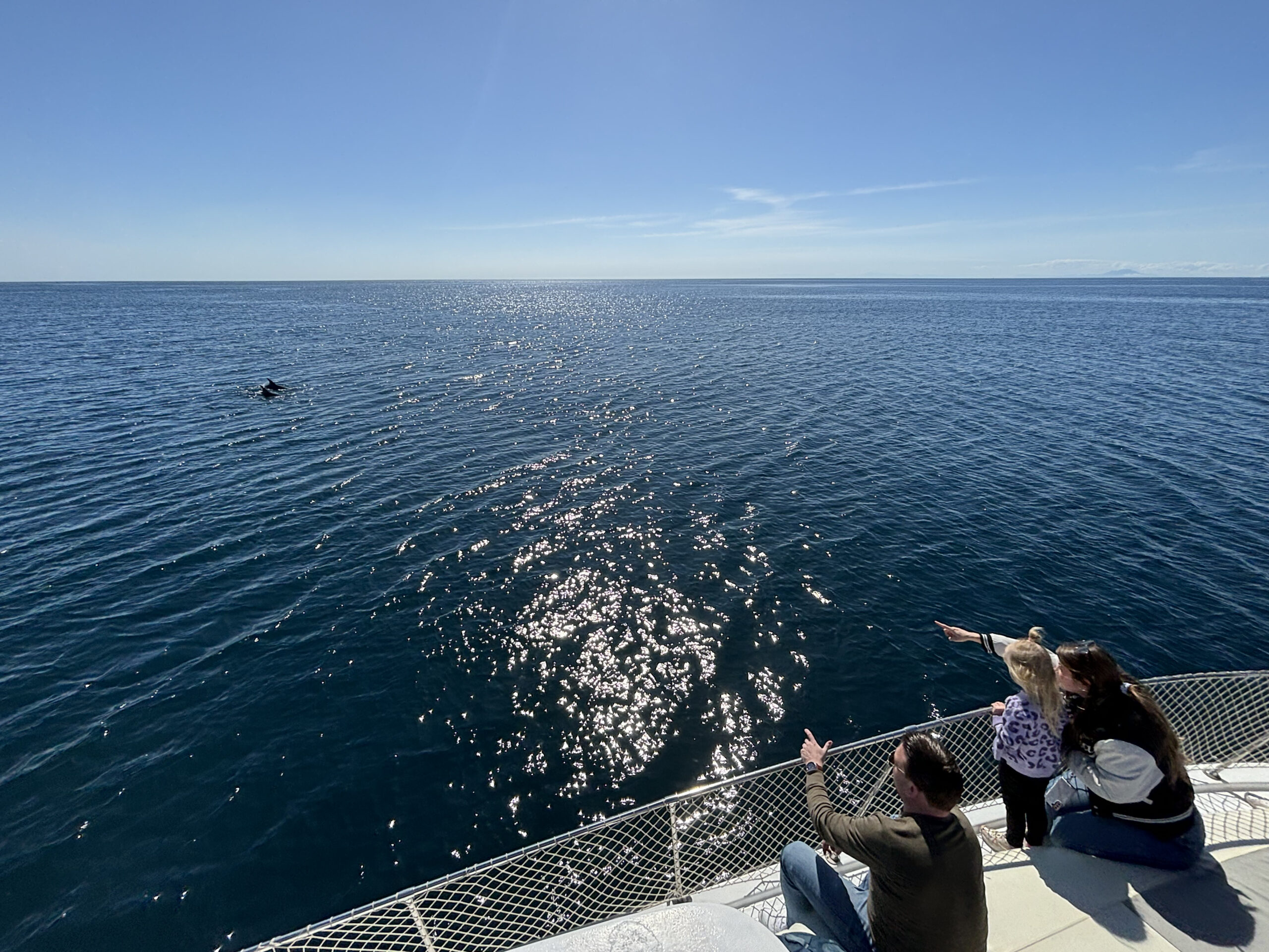 Familia observando delfines durante un paseo en barco por el océano
