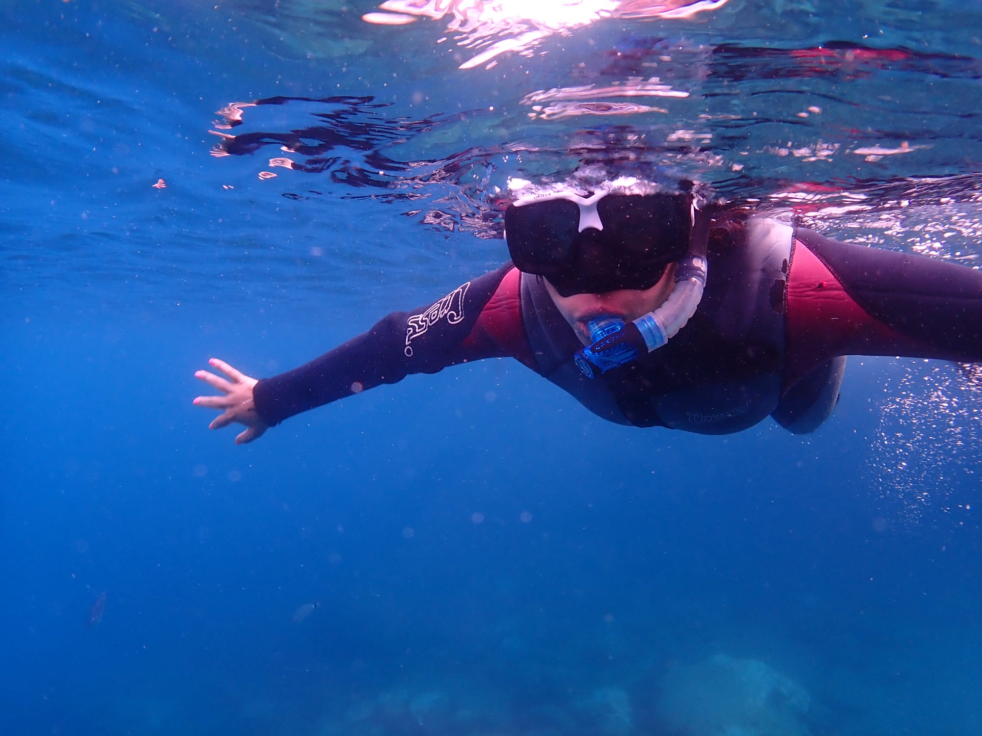 Freedonel Snorkeling Granada | Starting from €35 | Freedome
