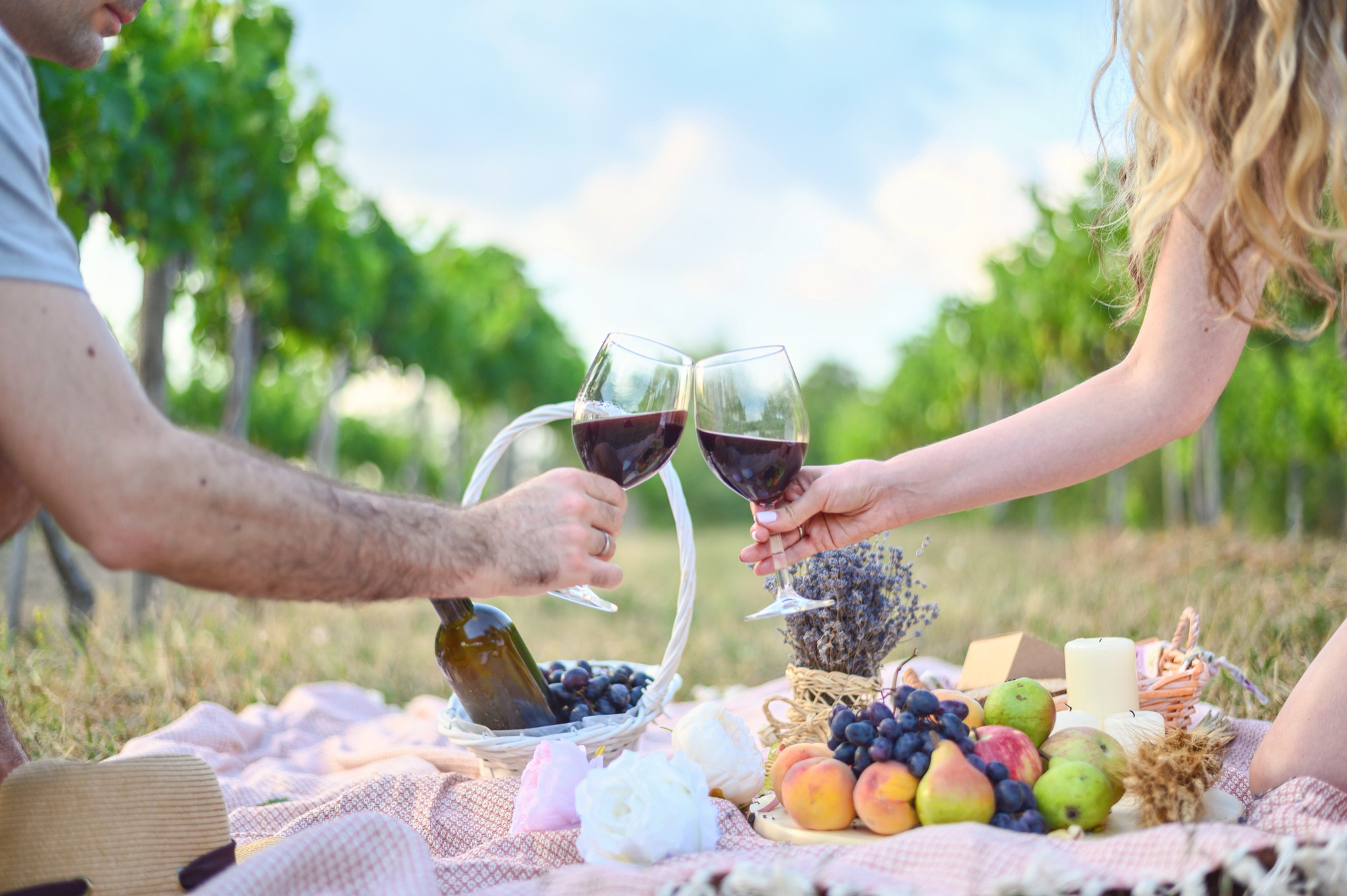 Brindis con copas de vino tinto durante un picnic romántico entre viñedos, con frutas y cesta sobre una manta.