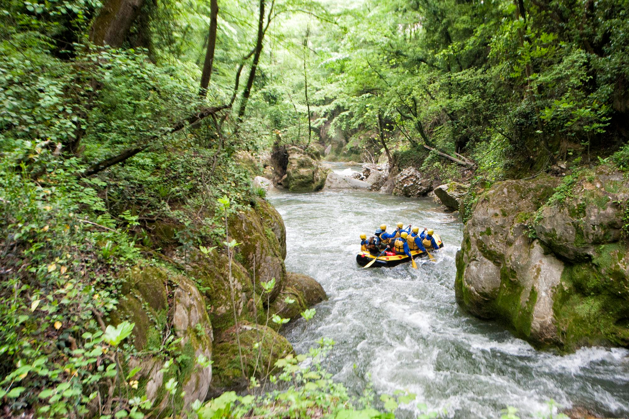 Grupo practicando rafting en un río rodeado de bosque y paisaje natural