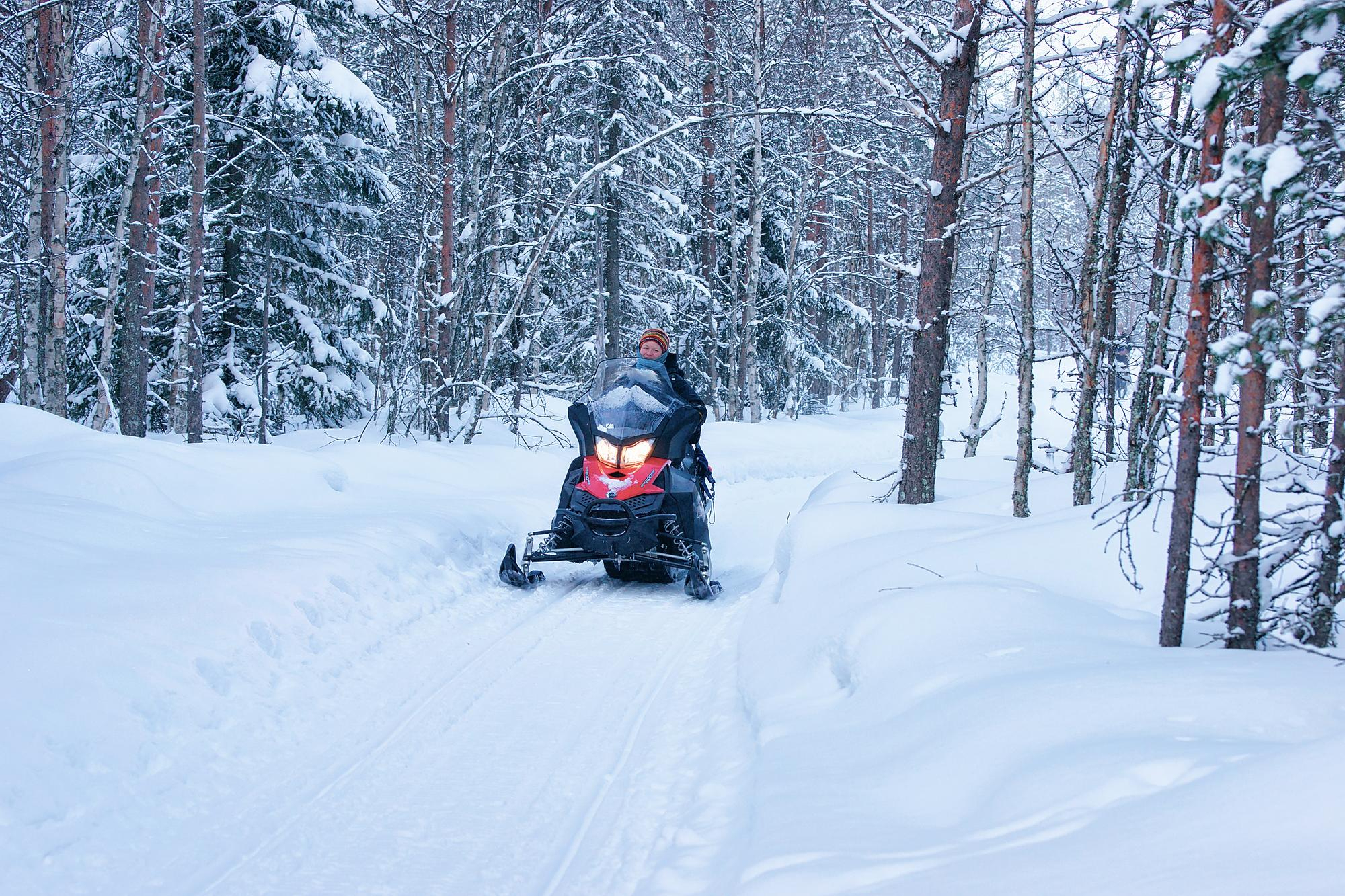 Persona conduciendo una moto de nieve por un bosque cubierto de nieve en un entorno invernal natural