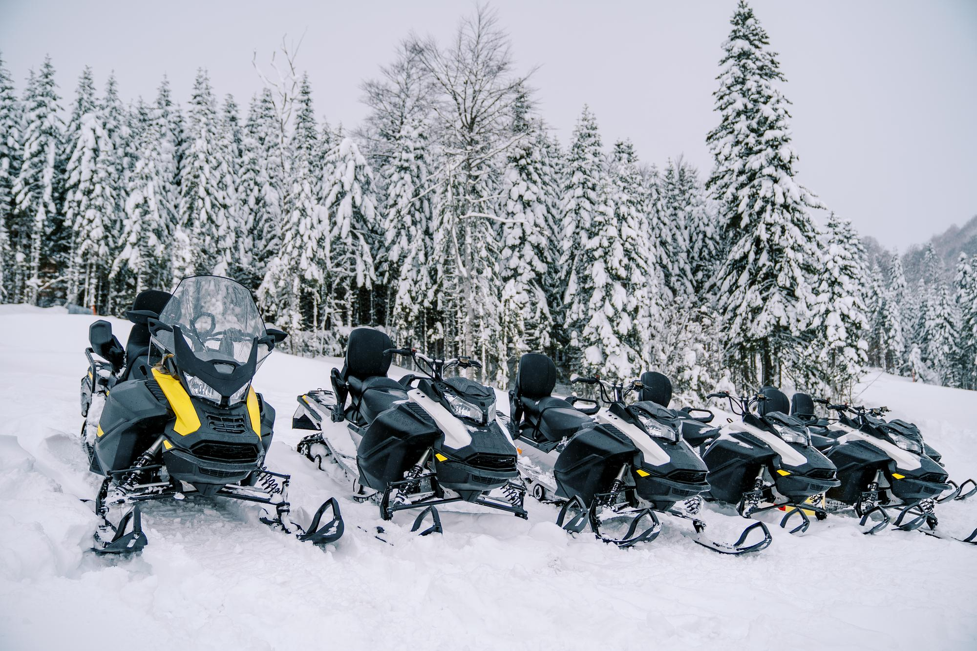 Motos de nieve estacionadas en fila sobre la nieve en un bosque cubierto de árboles invernales.