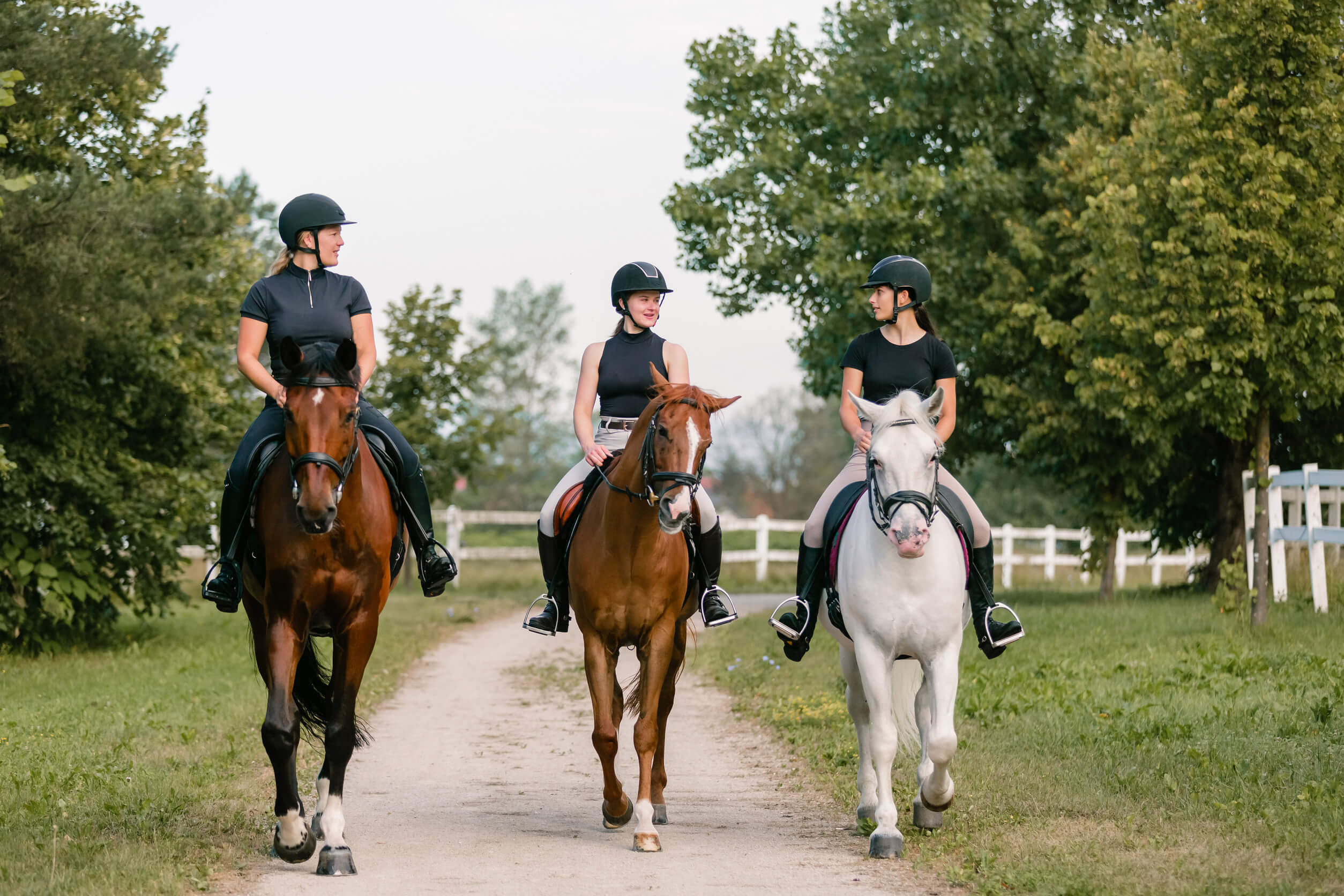 res mujeres montando a caballo por un sendero rodeado de árboles y vegetación.