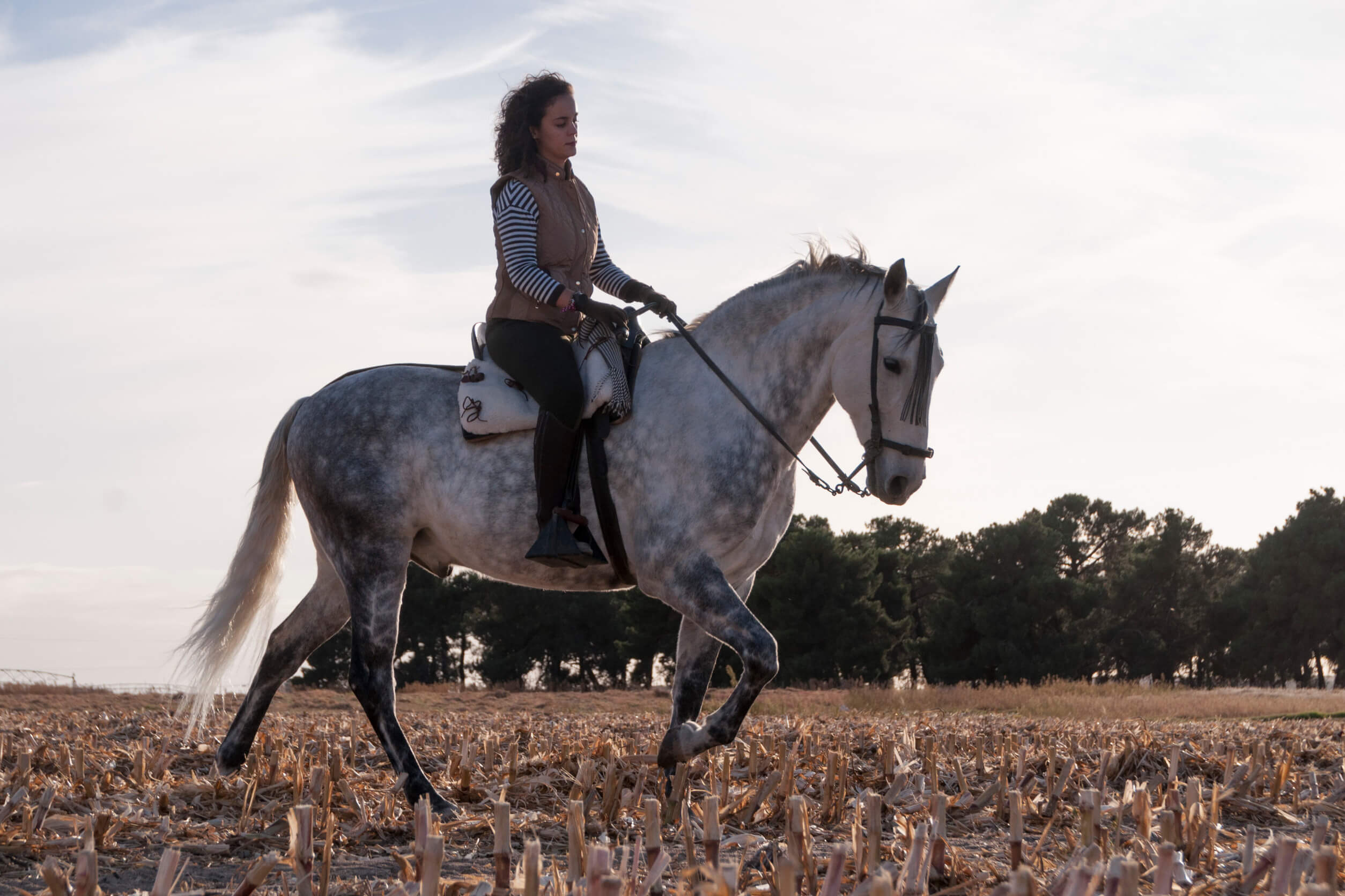 Ruta a caballo por el campo de Málaga con caballo blanco