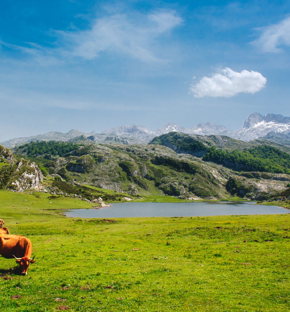 Grupo de compañeros equipados con casco y arnés sonriendo en una vía ferrata sobre un acantilado rocoso