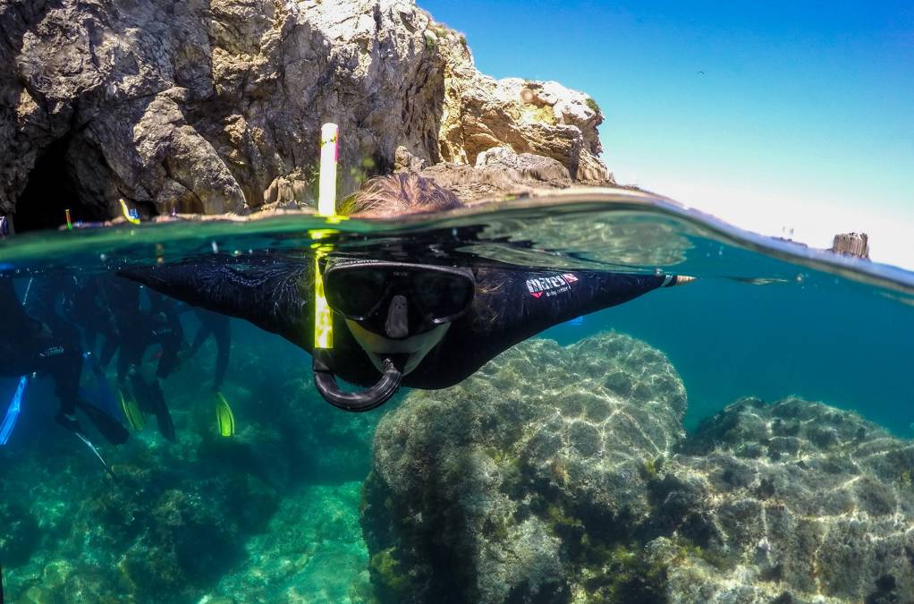 Freedonel Snorkeling Islas Medas | Starting from €38 | Freedome